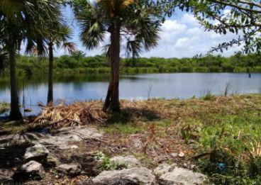 Terreno en  Dzilam de Bravo Yucatan