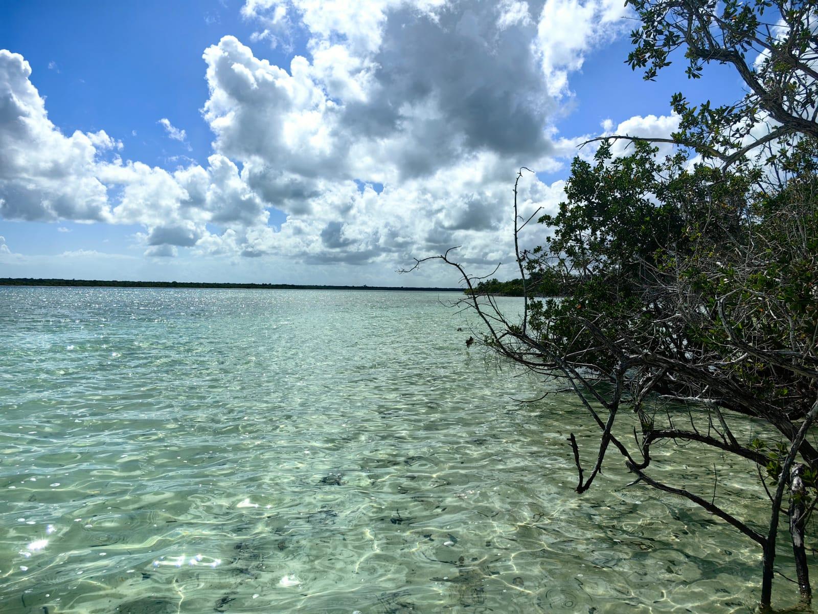 TERRENO EN VENTA BACALAR