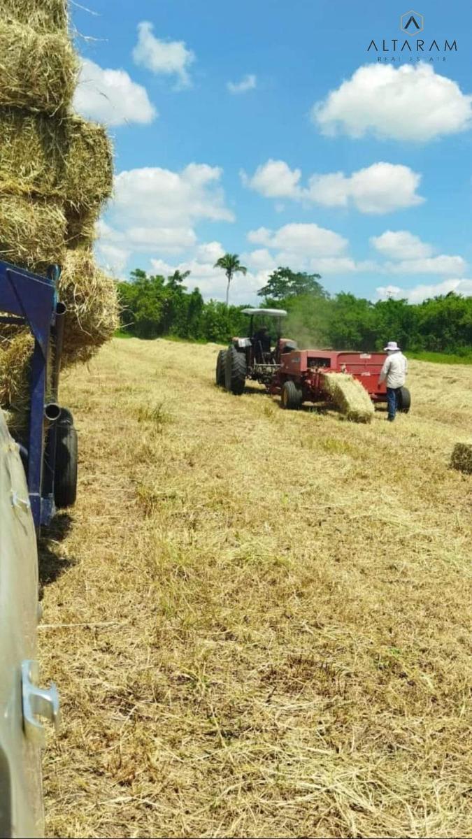 RANCHO EN VENTA A24KM TIHUATLAN DE POZA RICA VER.