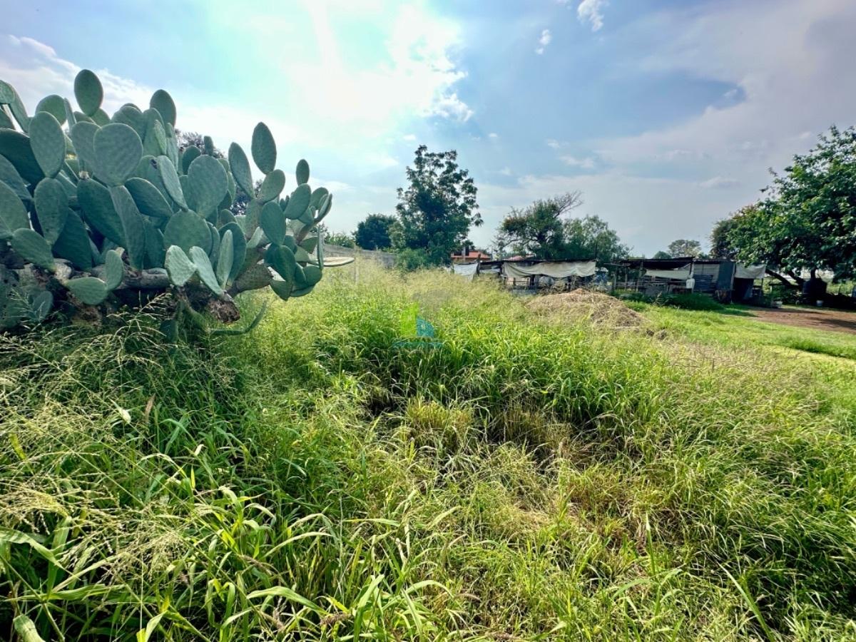 TERRENO EN VENTA PLAZA CITADINA EL PUEBLITO CORREGIDORA QUERETARO