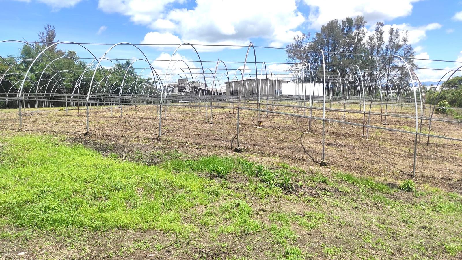 TERRENO EN VENTA EN ZUMPAHUACAN ESTADO DE MEXICO