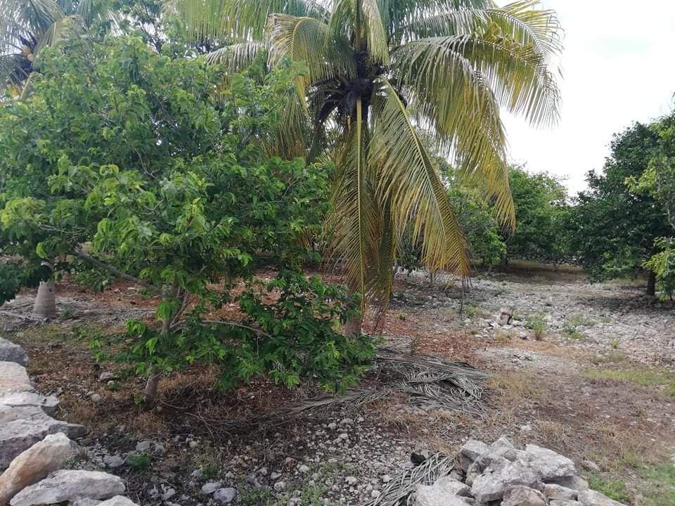 Terreno en venta Xmatkuil, Mérida, Yucatán