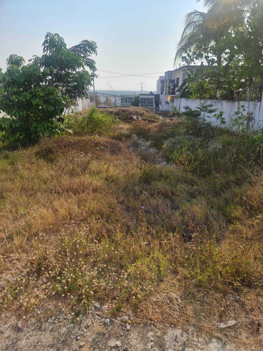 TERRENO EN VENTA EN COL EL MORRO, BOCA DEL RÍO