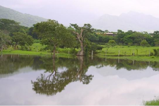 Terreno - Tonalá