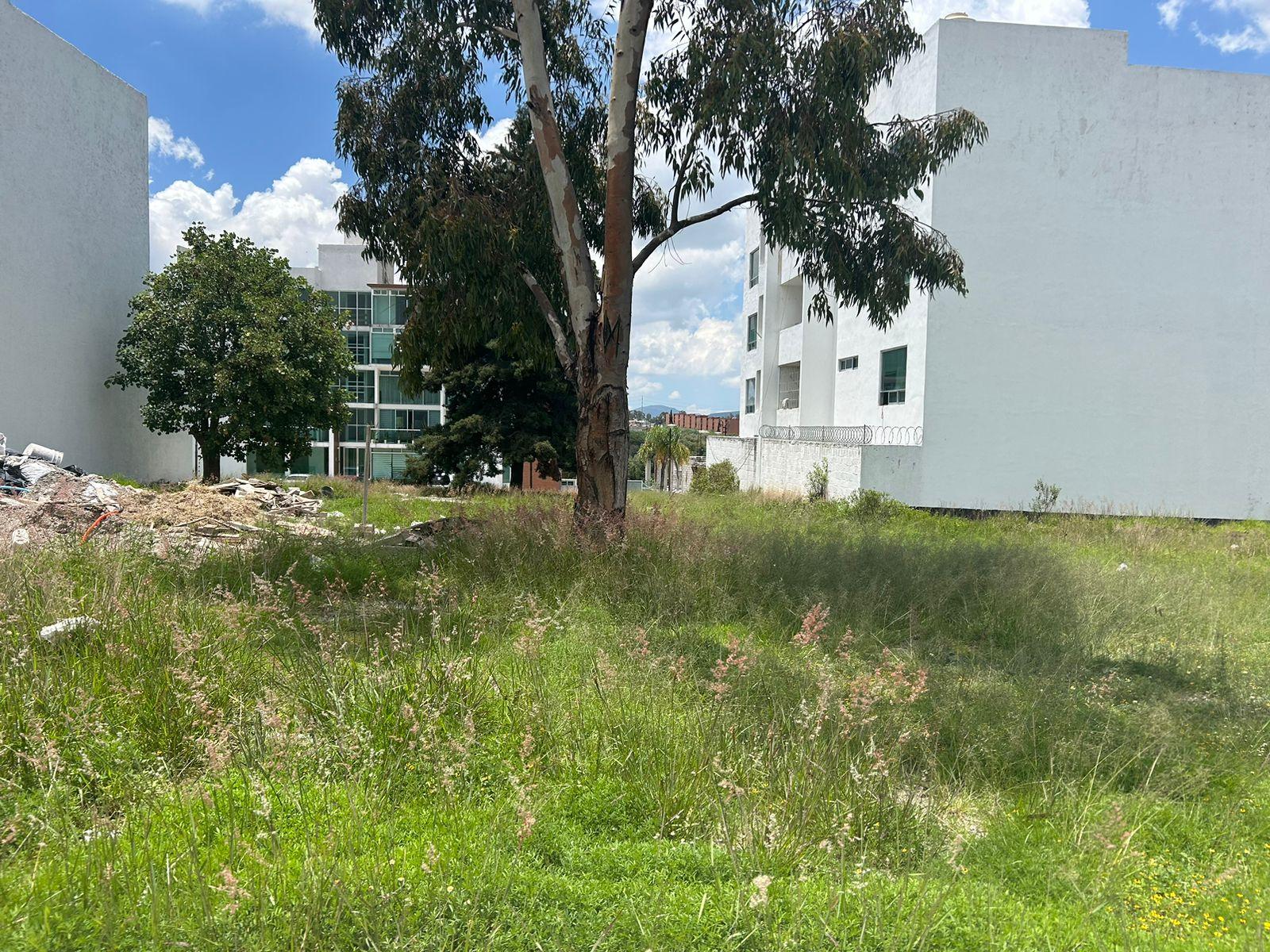 Terreno en   Hacienda San Miguel Residencial/Mayorazgo