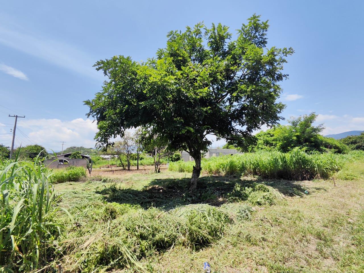 Terreno en la Col. Oriental en Chiapa de Corzo