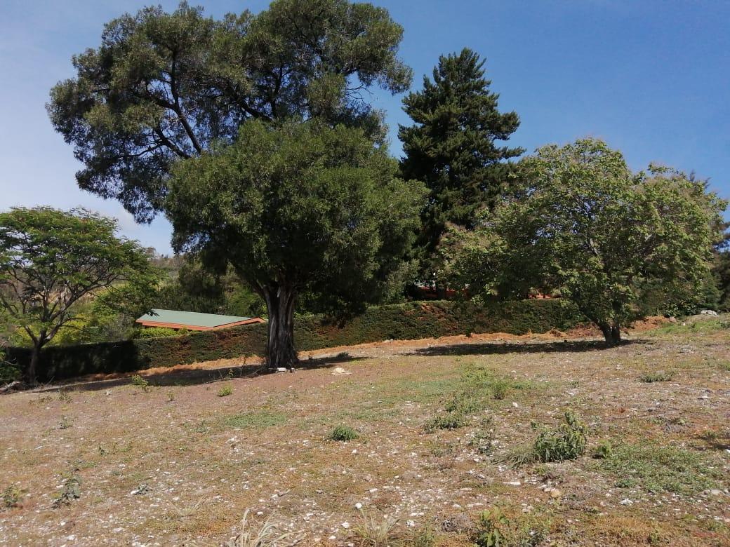 Terreno en Venta en Llano de San Diego, Ixtapan de la Sal.