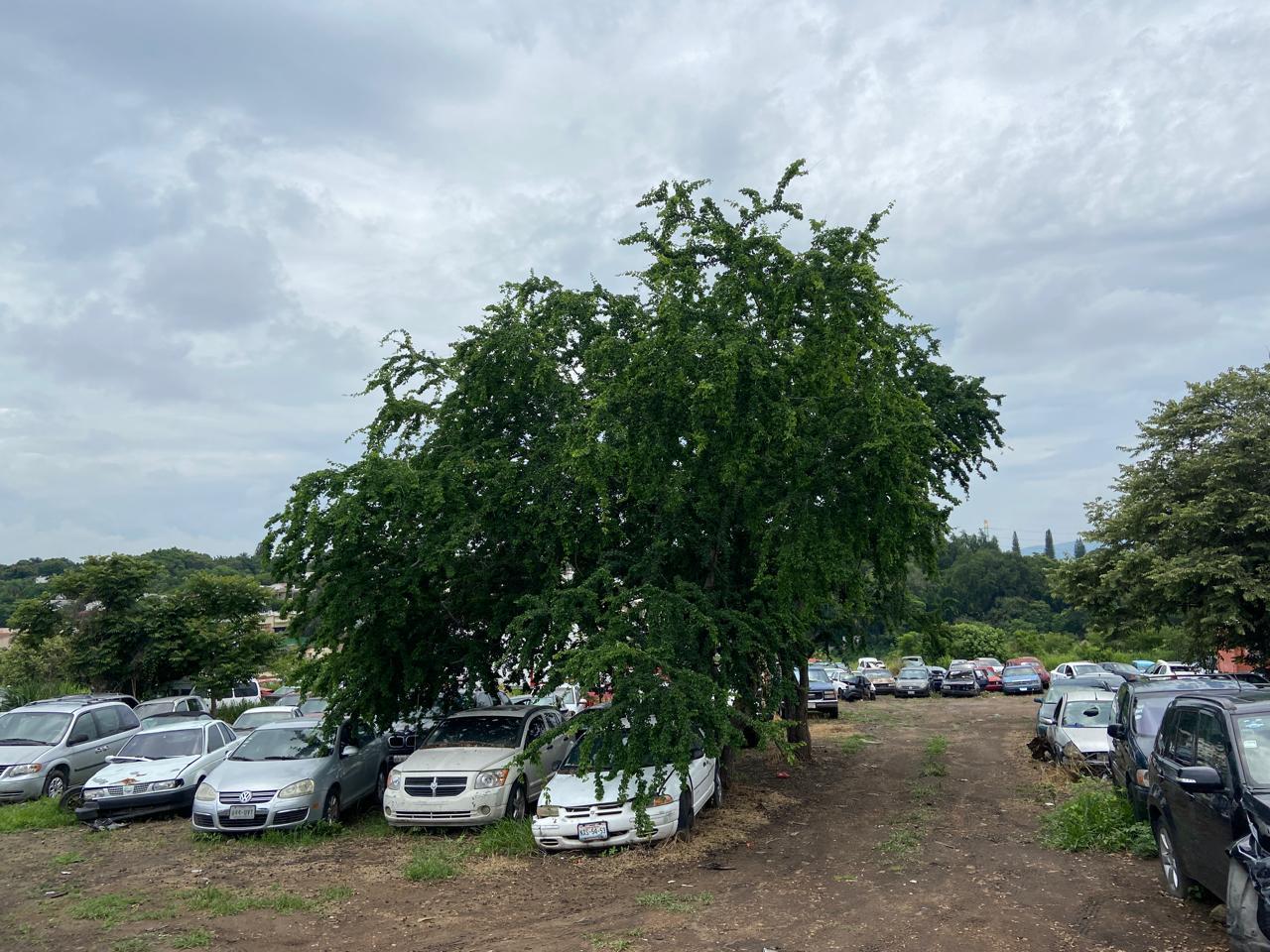 Terreno comercial en desnivel. Chipitlan, Cuernavaca