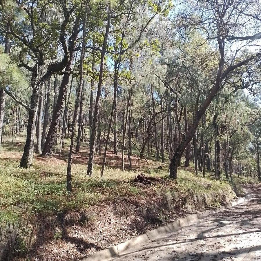 Terreno en venta en Sierra Mazati de los Frailes.