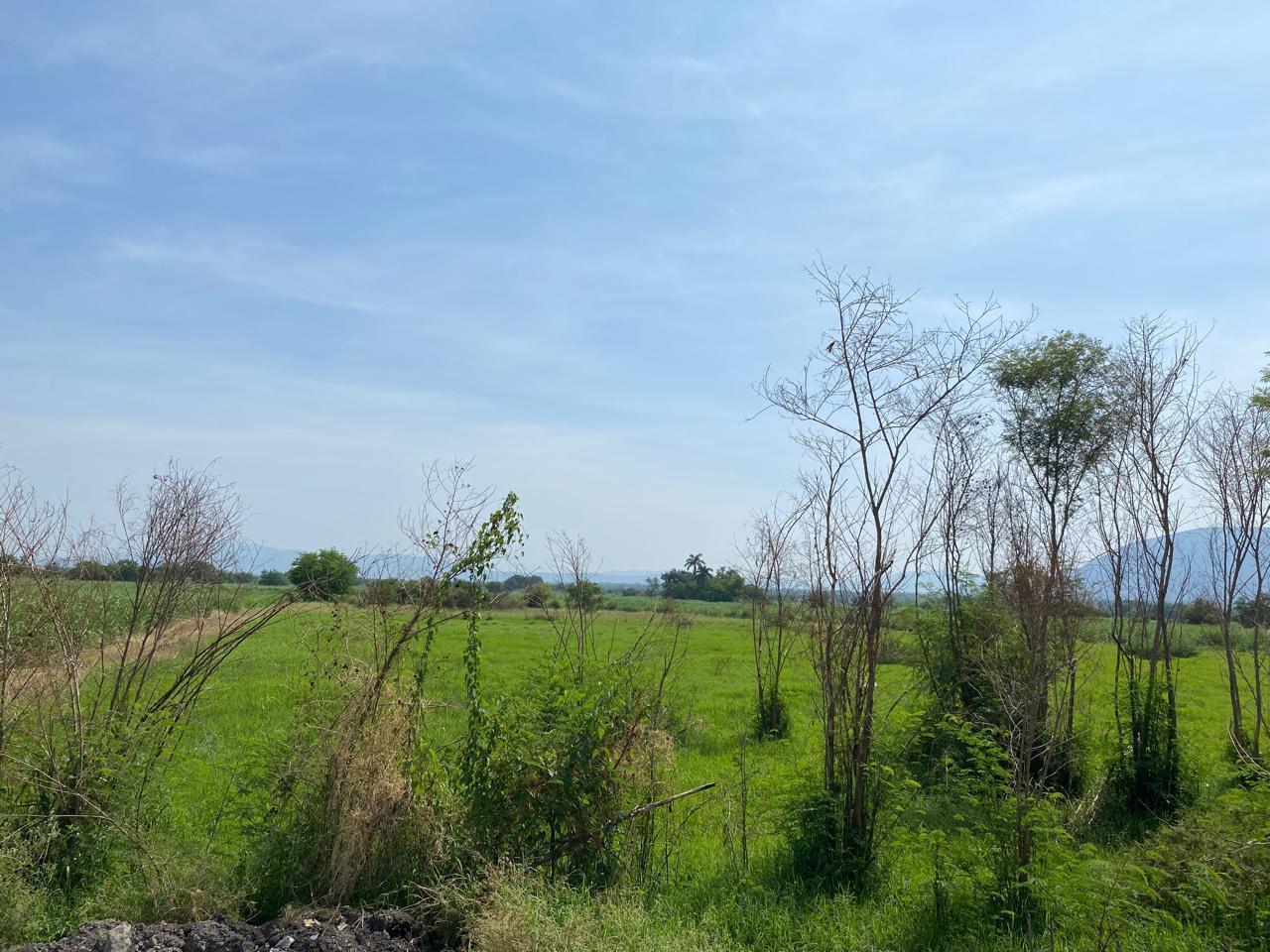 Terreno en Jojutla