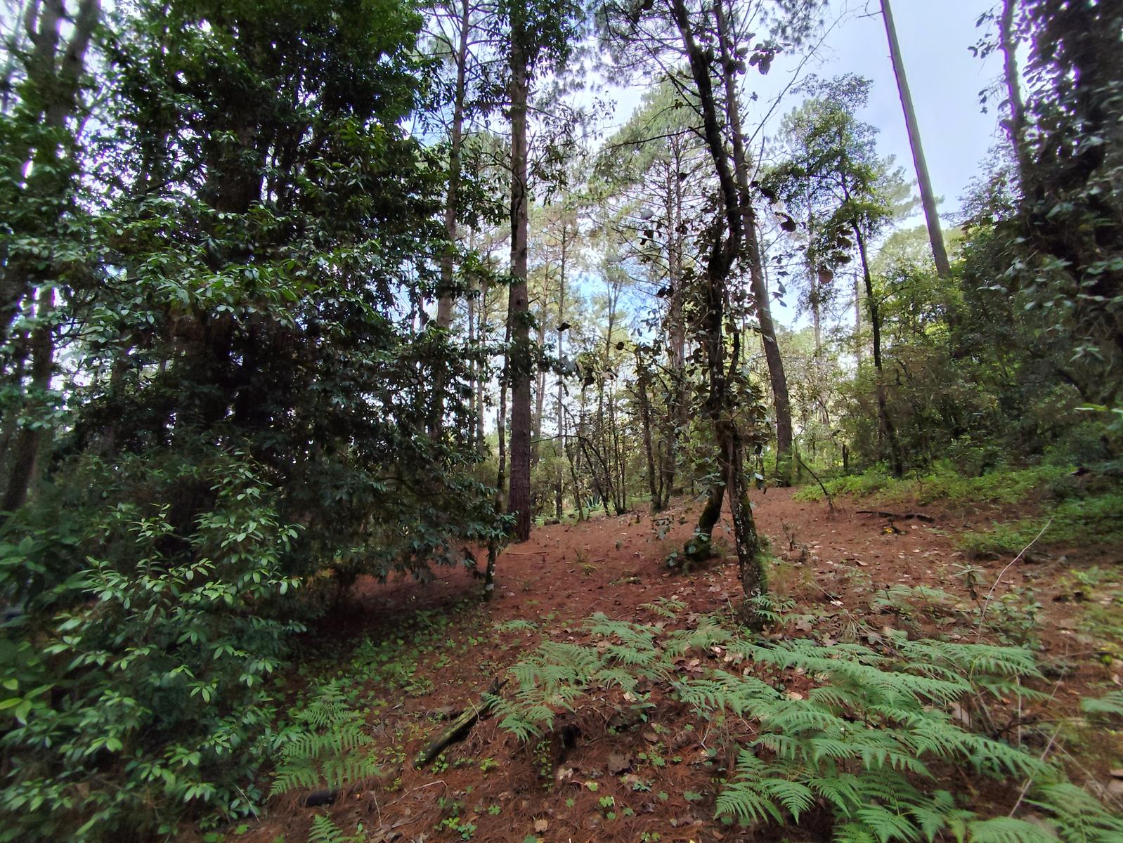 Terreno para rancho cerca de Avándaro con agua de manantial y poza natural