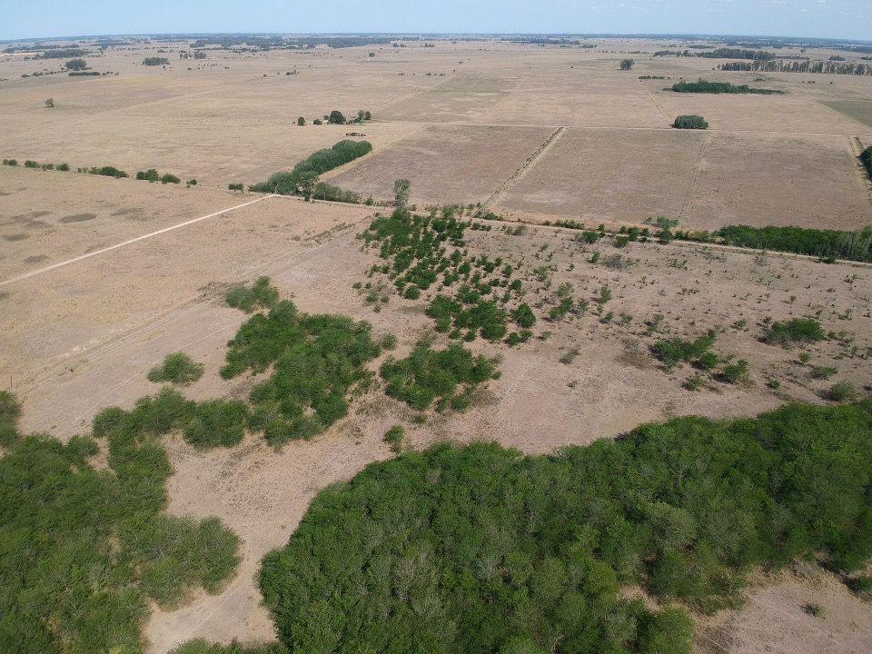 CAMPO EN ALEJANDRO KORN IDEAL DESARROLLO