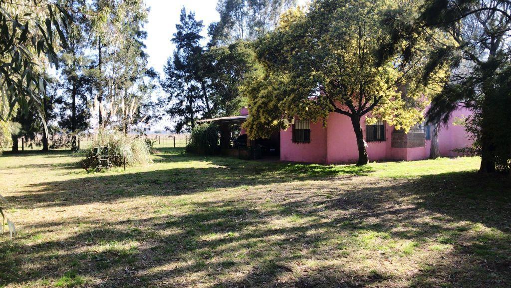 CASA DESARROLLADA SOBRE LOTE DE 26 HECTAREAS CON LUZ ELECTRICA EN LAS FLORES