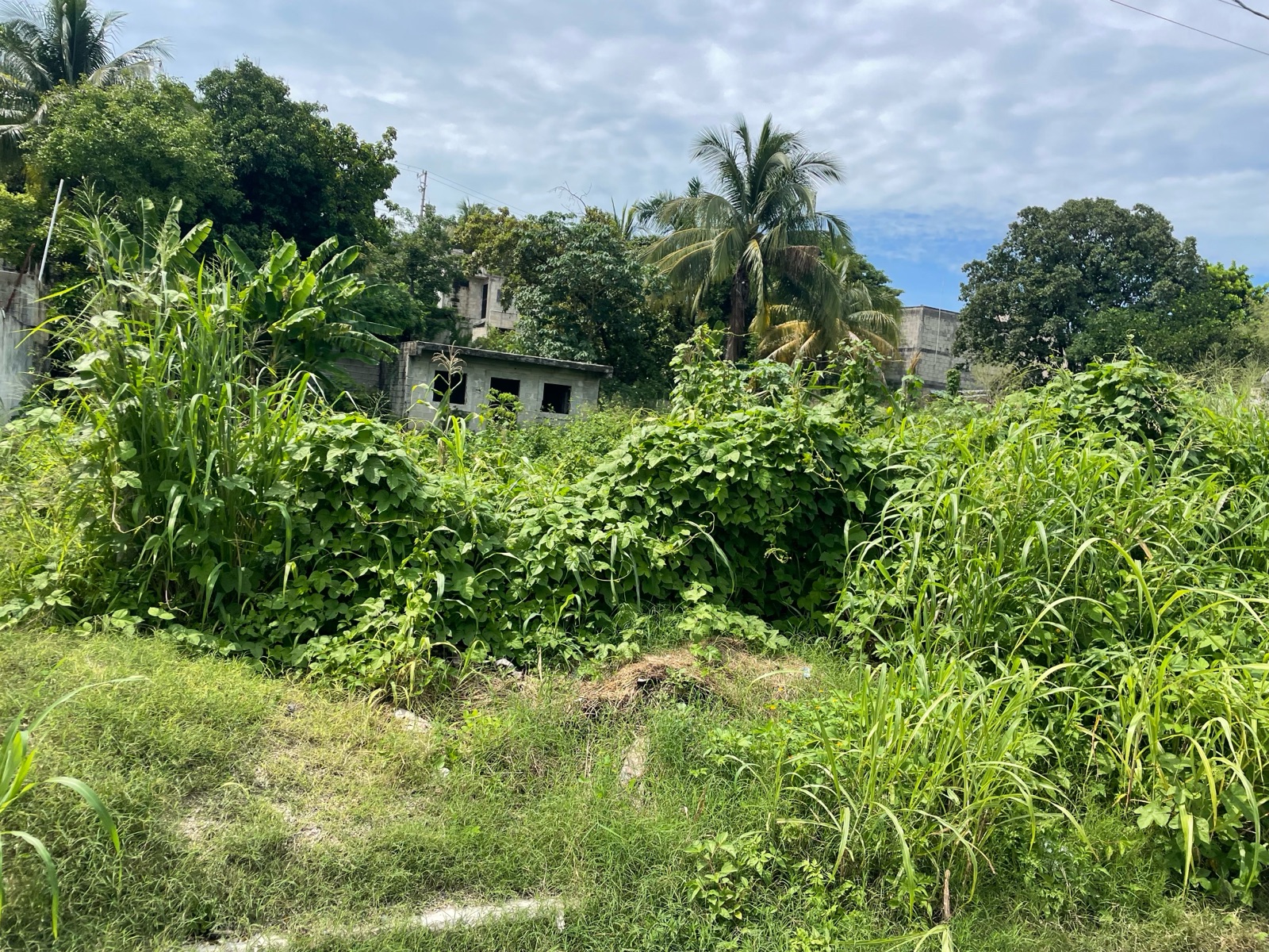 TERRENO EN VENTA EN CAMPECHE COL PEÑA