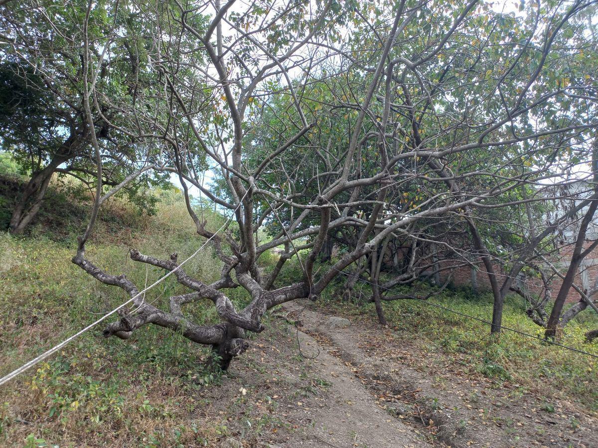 Terreno en venta a unos metros del puente santo domingo