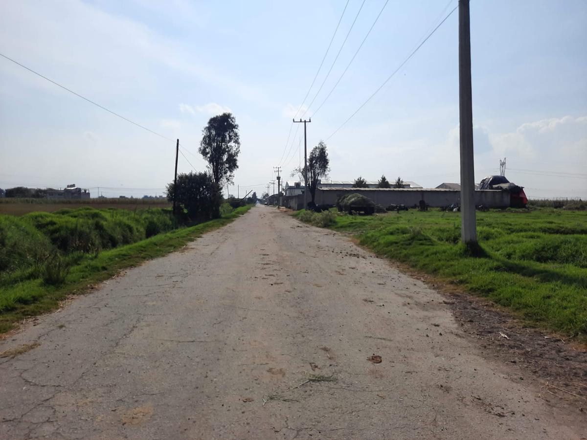 Terreno en  Renta o Venta en San Pedro Totoltepec, Toluca