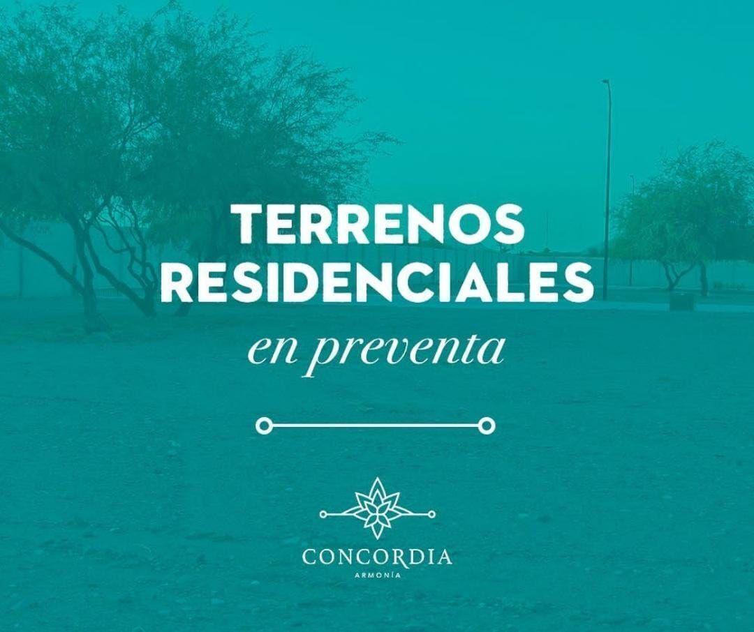 Terrenos en preventa en Concordia Sección Armonía, Hermosillo, Sonora.