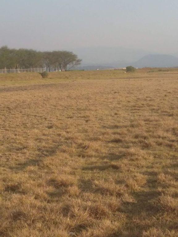 TERRENO PARA INVERSIONISTAS TOLUCA