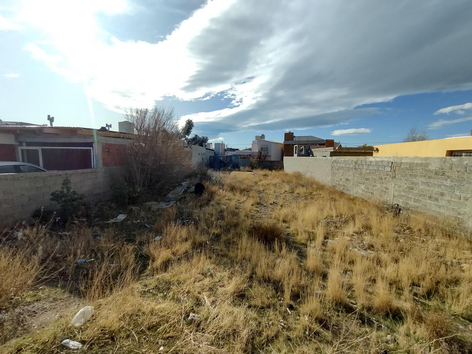 Terreno en  P. Palazzo - Ubicación Comercial