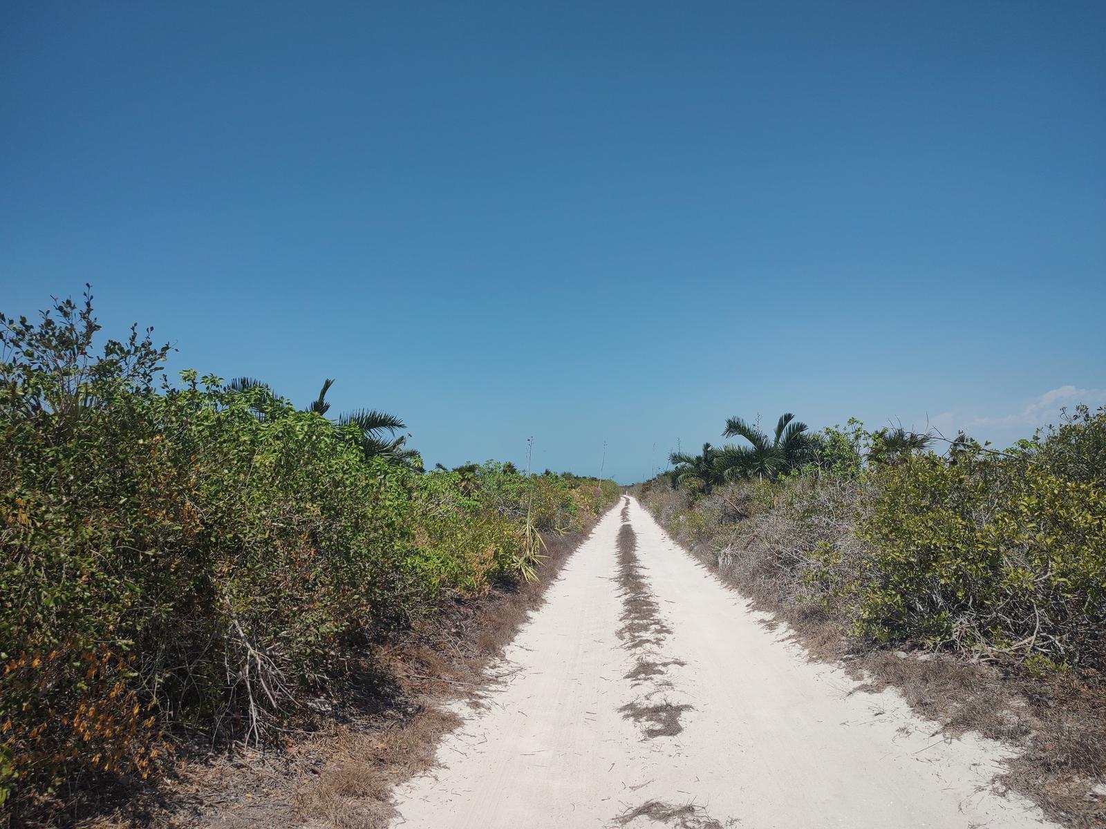 Terreno Frente al Mar en Cancunito Rio Lagartos Yucatán