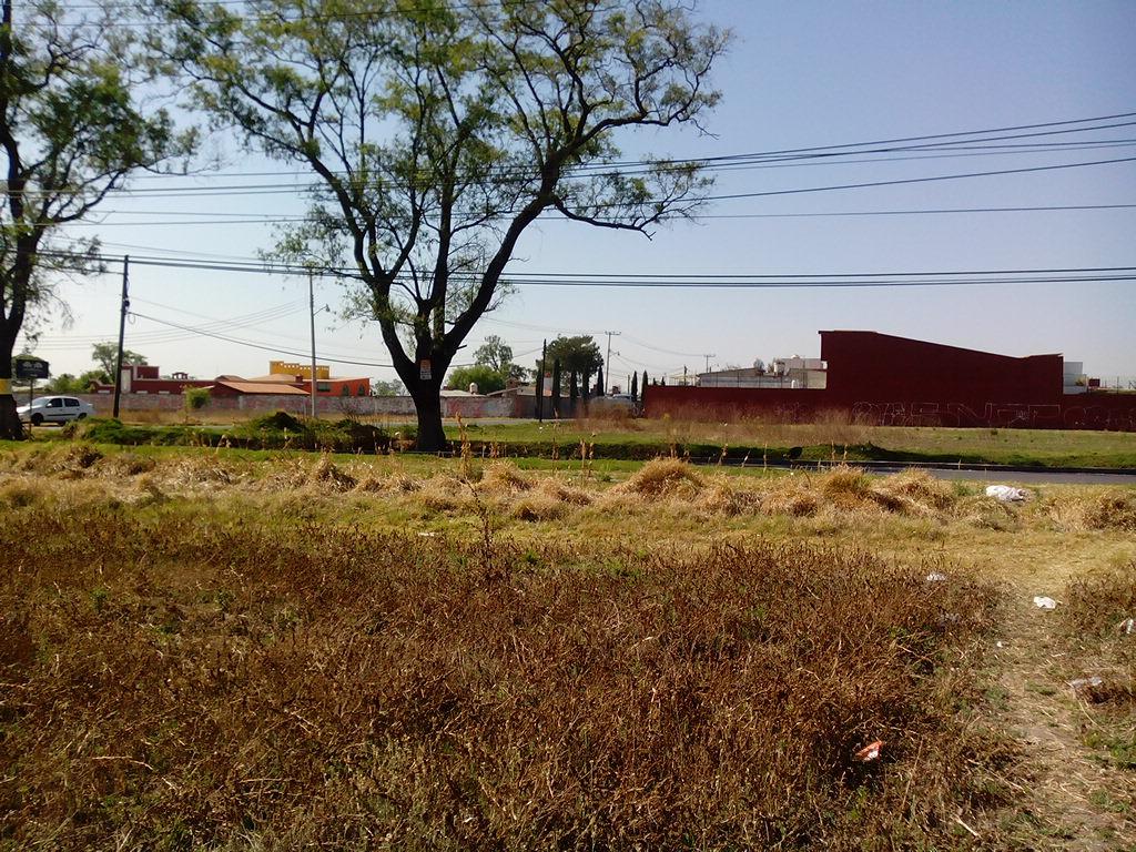 TERRENO EN VENTA METEPEC AV. ESTADO DE MEXICO