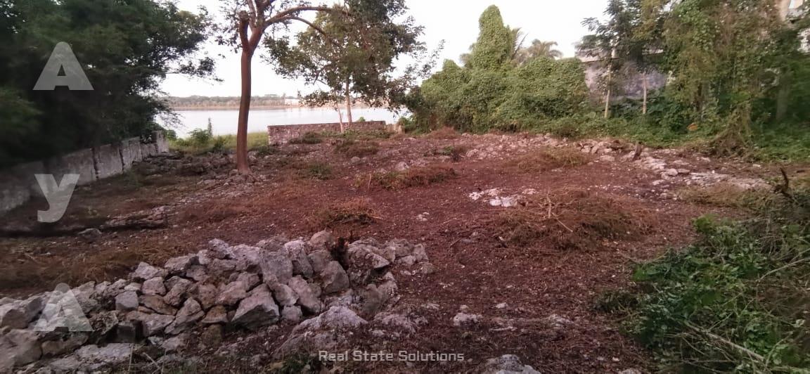 Terreno en  Venta de 800 m2, al lado Hotel Coqui Coqui, y 20 m de frente Laguna de Cobá, Tulum.