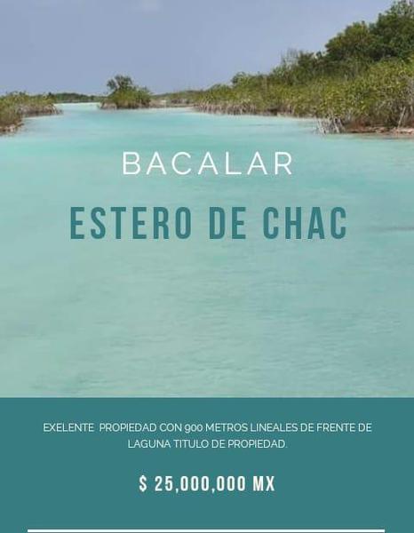 Excelente oportunidad de adquirir terreno en Bacalar con frente de laguna