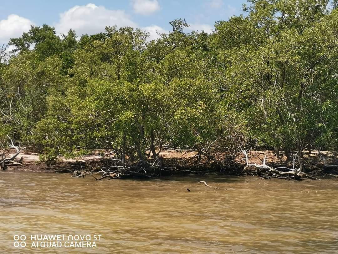 VENTA DE TERRENOS CON PLAYA EN CHIQUILA