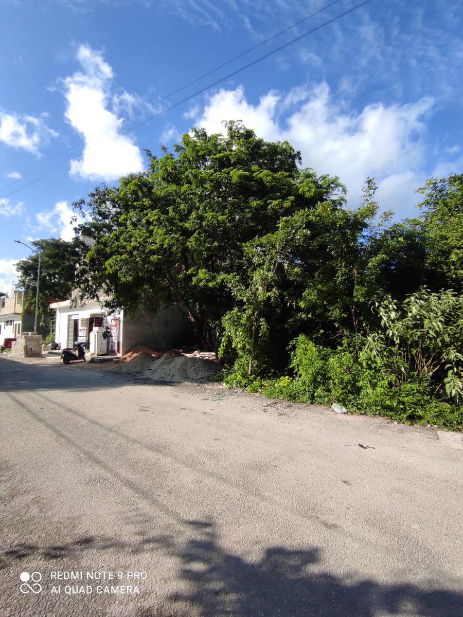 TERRENO EN VENTA EN TULUM