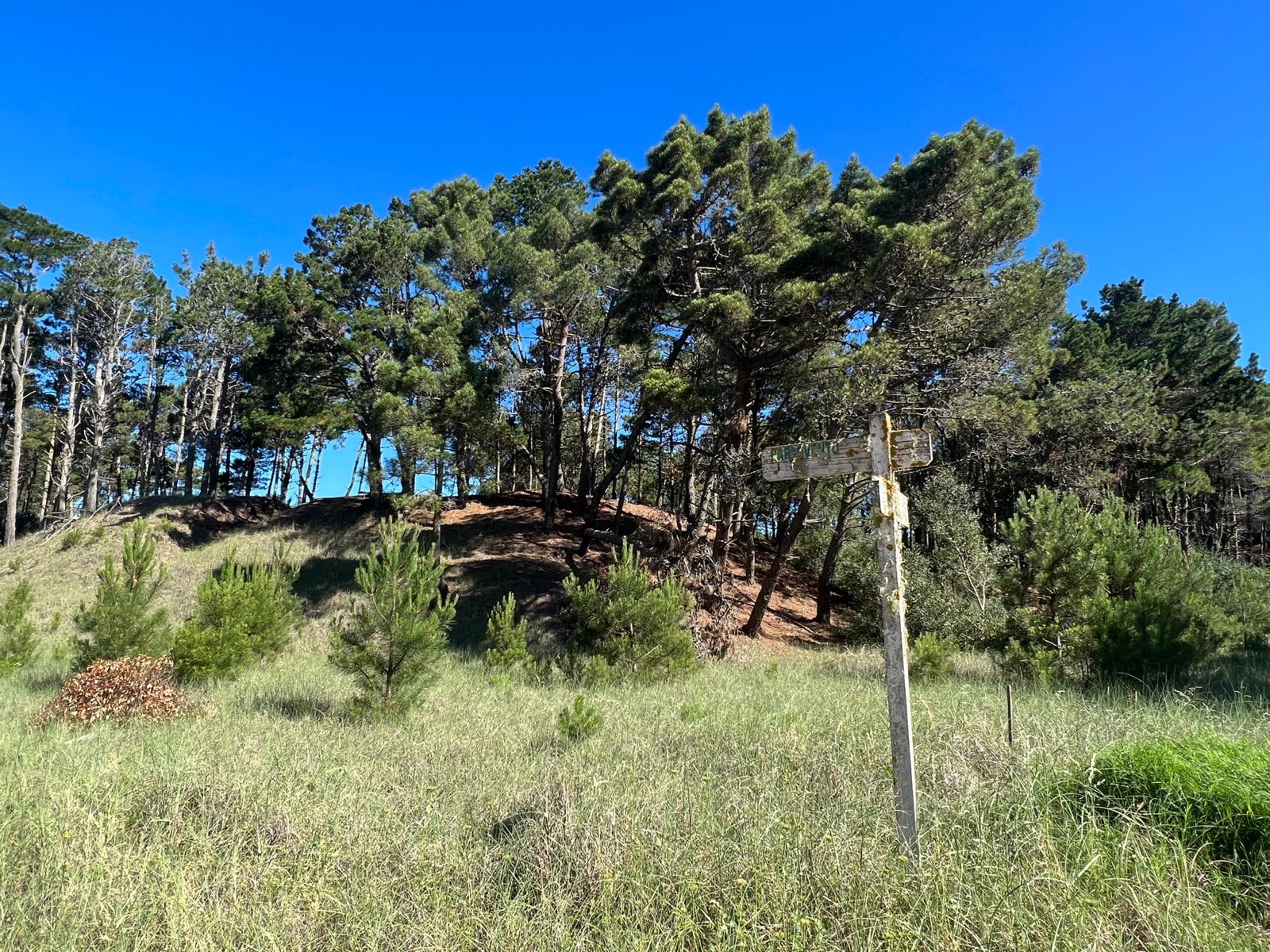 Terreno - Pinamar