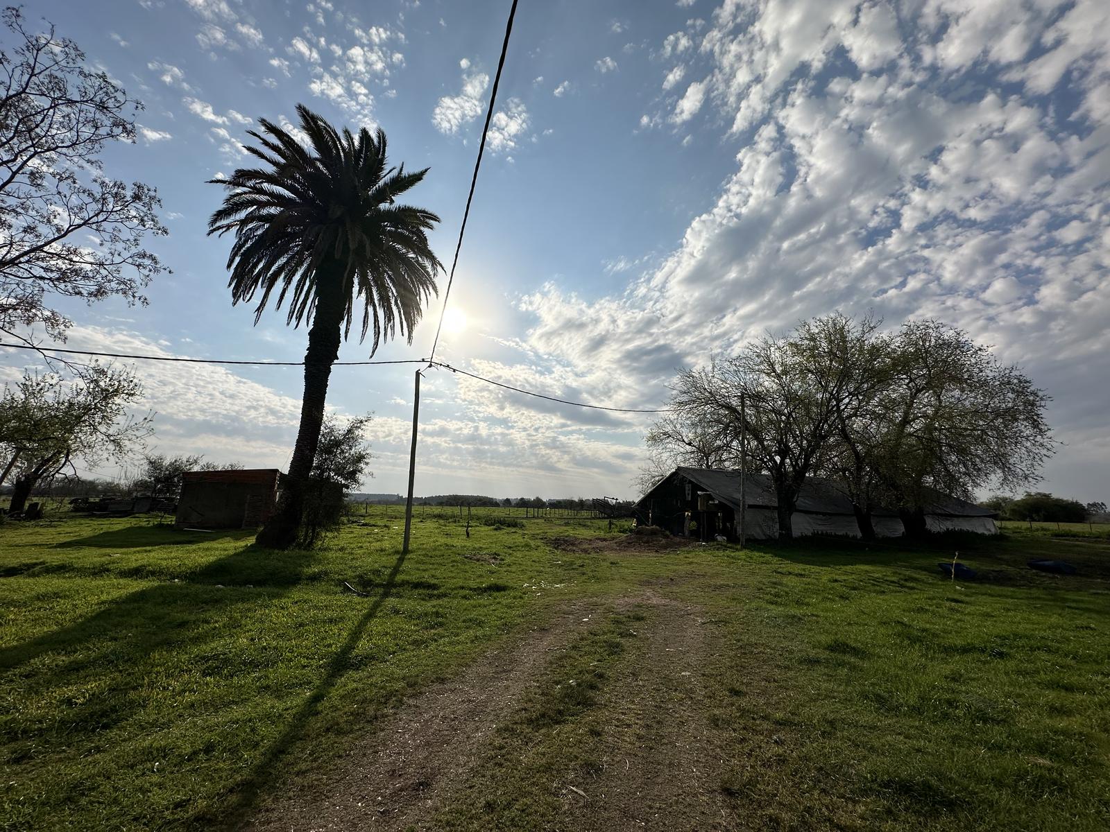 12 Hectáreas en San Anselmo