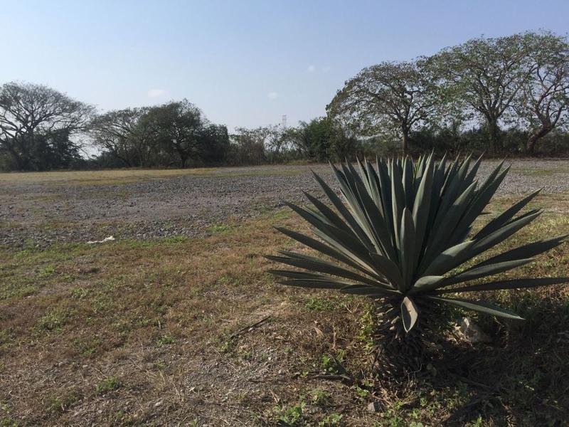 EXCELENTE TERRENO EN DOS LOMAS, VER.