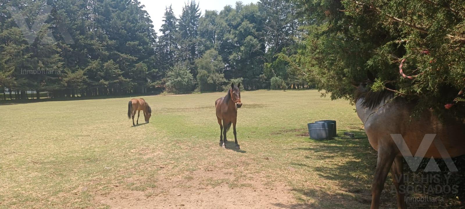 TERRENO EN VENTA  CHIMALIAPAN, OCOYOACAC