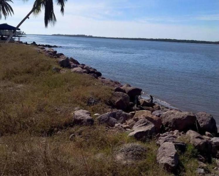 TERRENO VENTA 5,000 METROS ISLA PARAISO TEACAPAN SINALOA