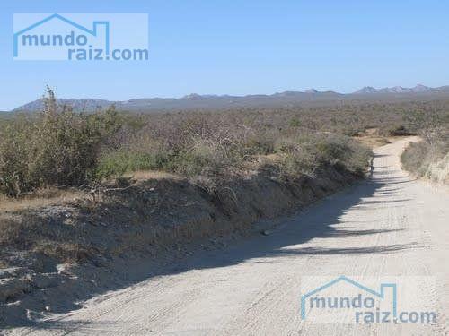 Terreno - San José del Cabo