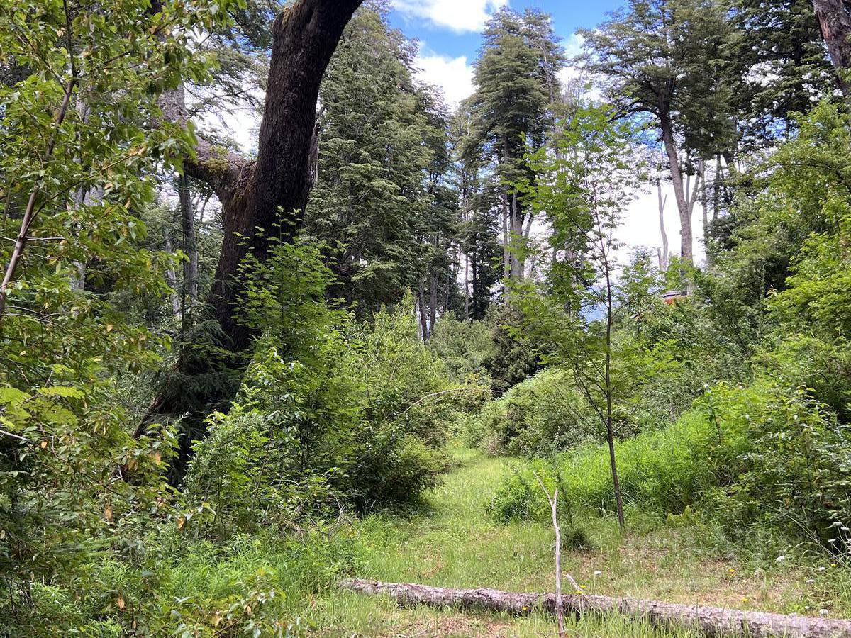 Terreno en Villa La Angostura