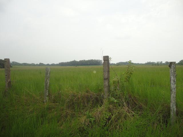 MAGNIFICO RANCHO EN MOLOACAN, VER.