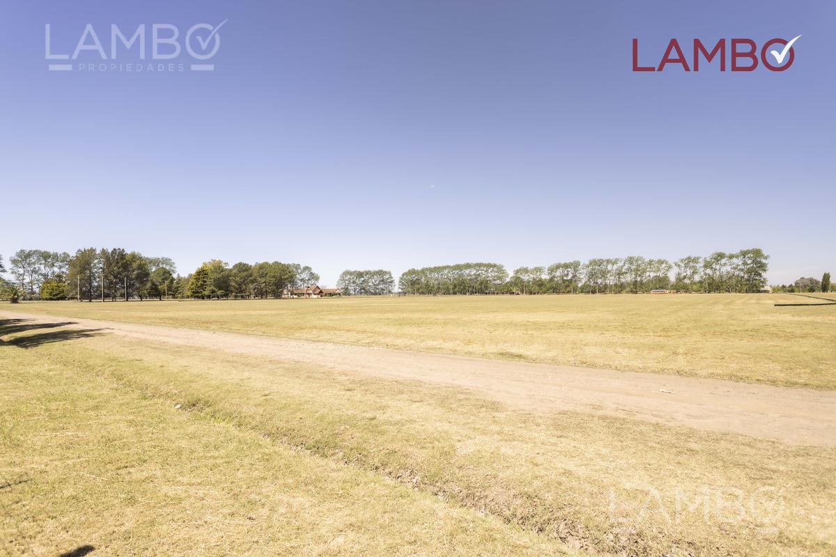 VENTA-LOTE-CHACRA-CARMEN DE ARECO-LA ALAMEDA