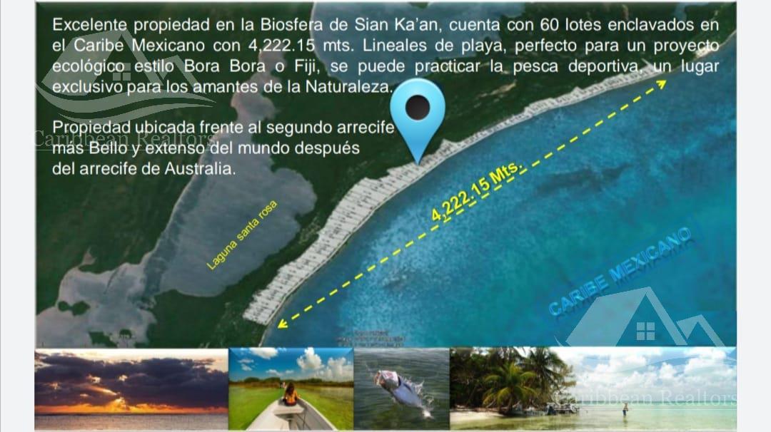 Terreno en Venta en Riviera Maya. B-HCS287