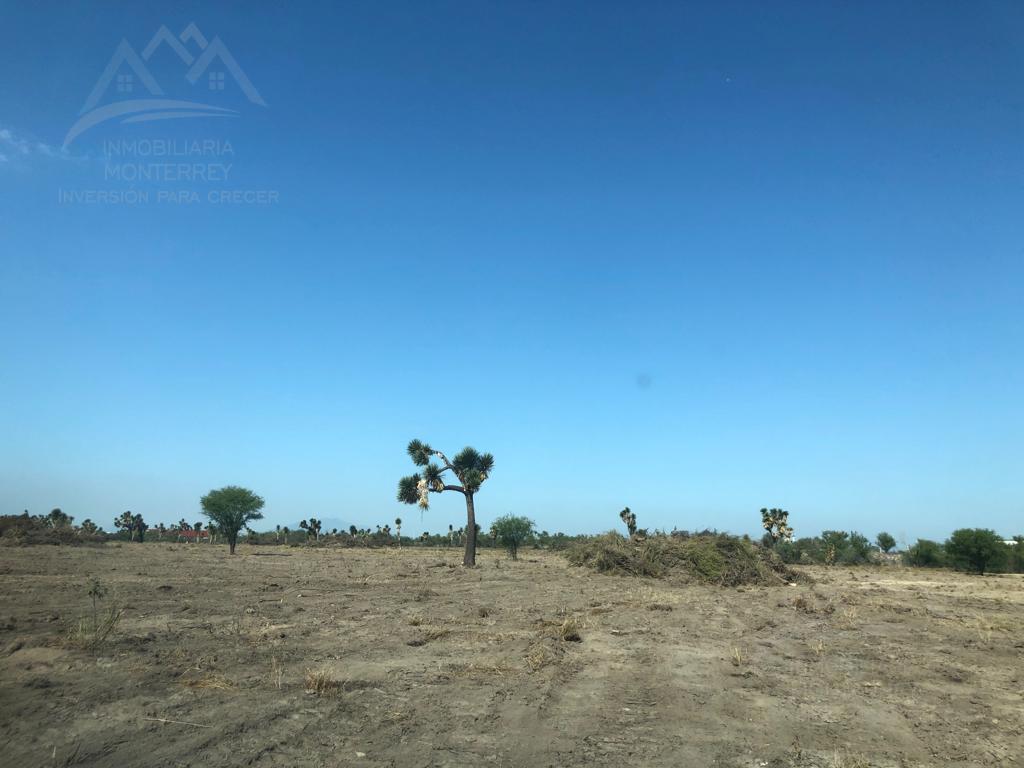 Terreno en venta 29.9 hectáreas industrial carretera a Laredo Zuazua Nuevo León.