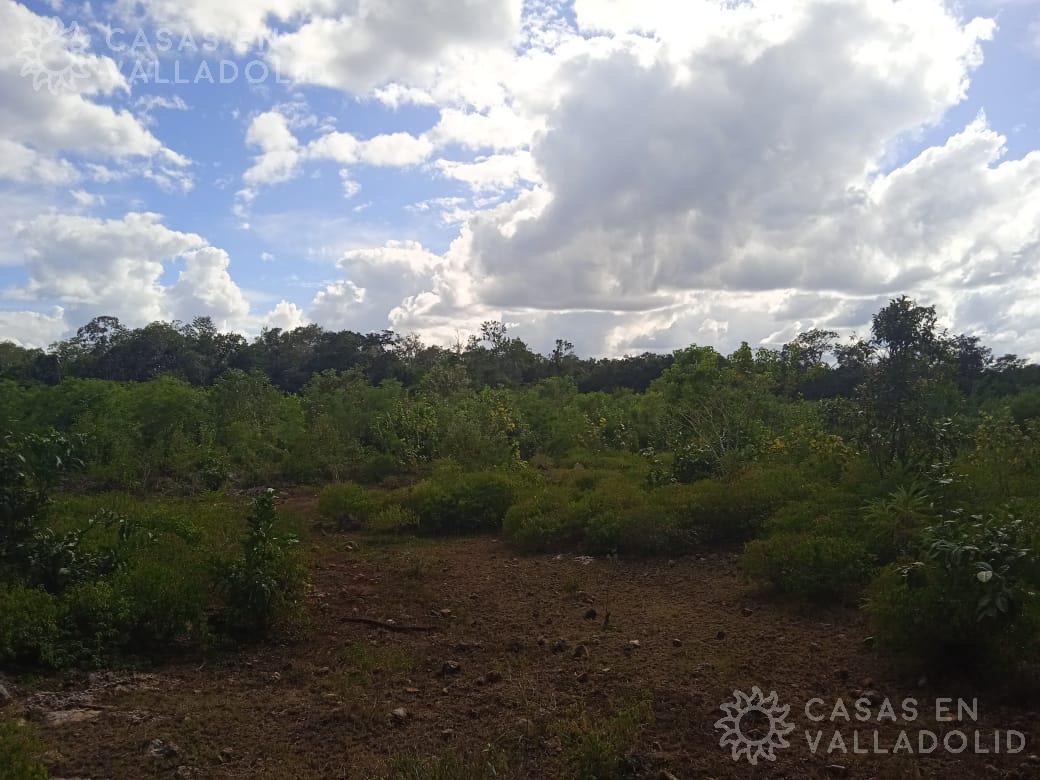 Terreno 30 Hectáreas, Gran Oportunidad para Inversionistas a 25 km de Valladolid