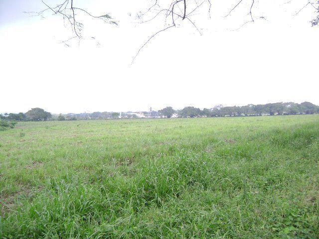 2 hectareas en la congregacion de la laguna