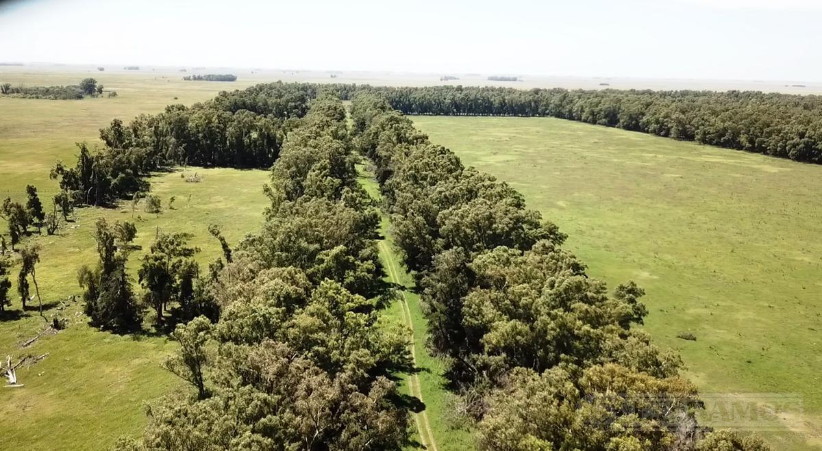 Excelente campo Ganadero en Crotto, Tapalqué