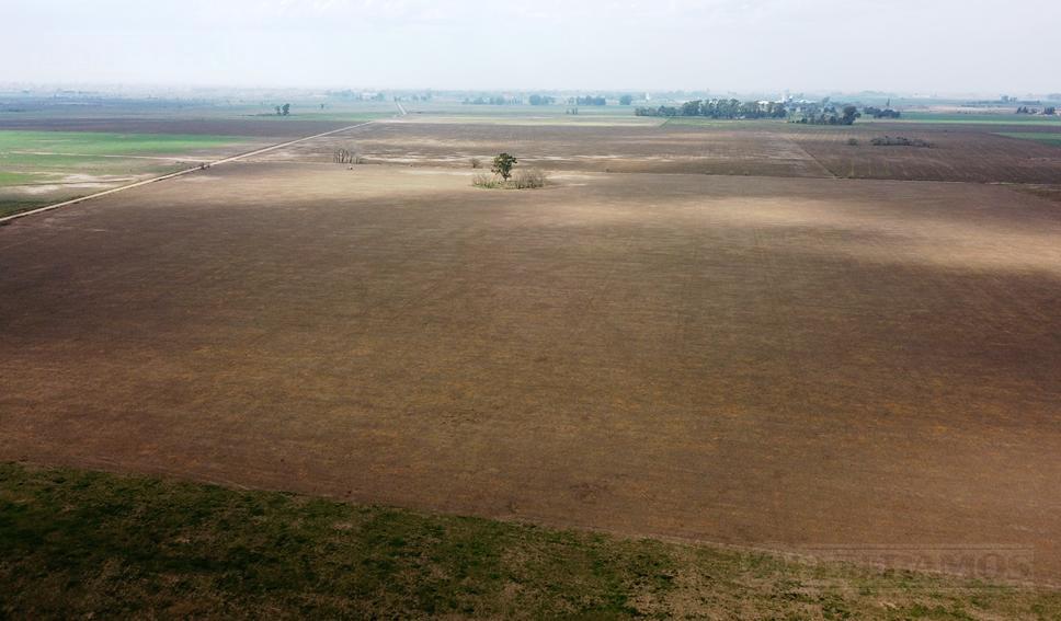 Campo en Venta. 106 ha agrícolas. Pergamino, BA.