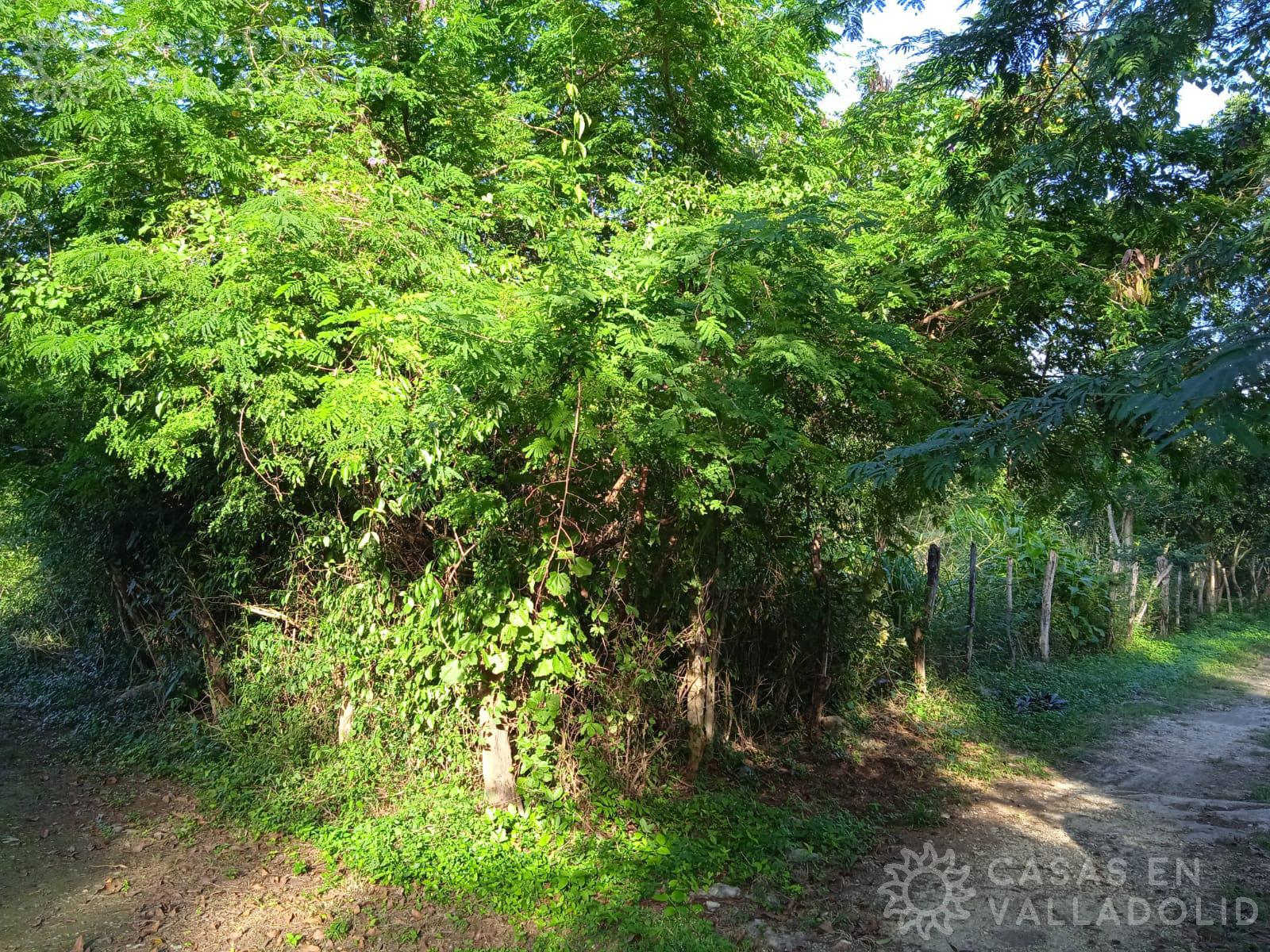 Terrenos en venta cerca de Tesoco