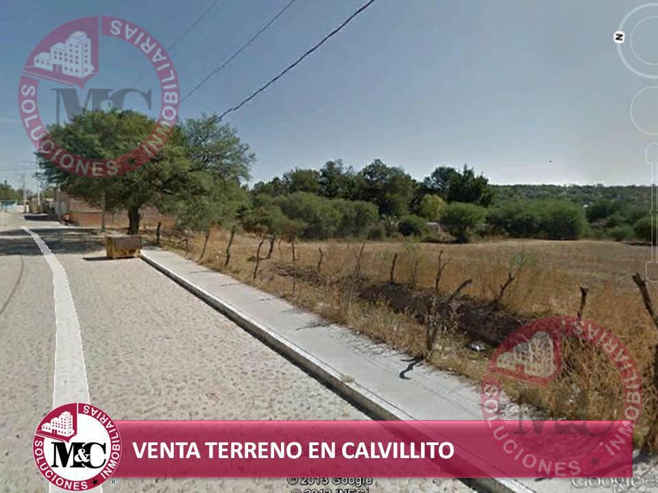 TERRENO DE UNA HECTÁREA EN VENTA, CALVILLITO, AGS.