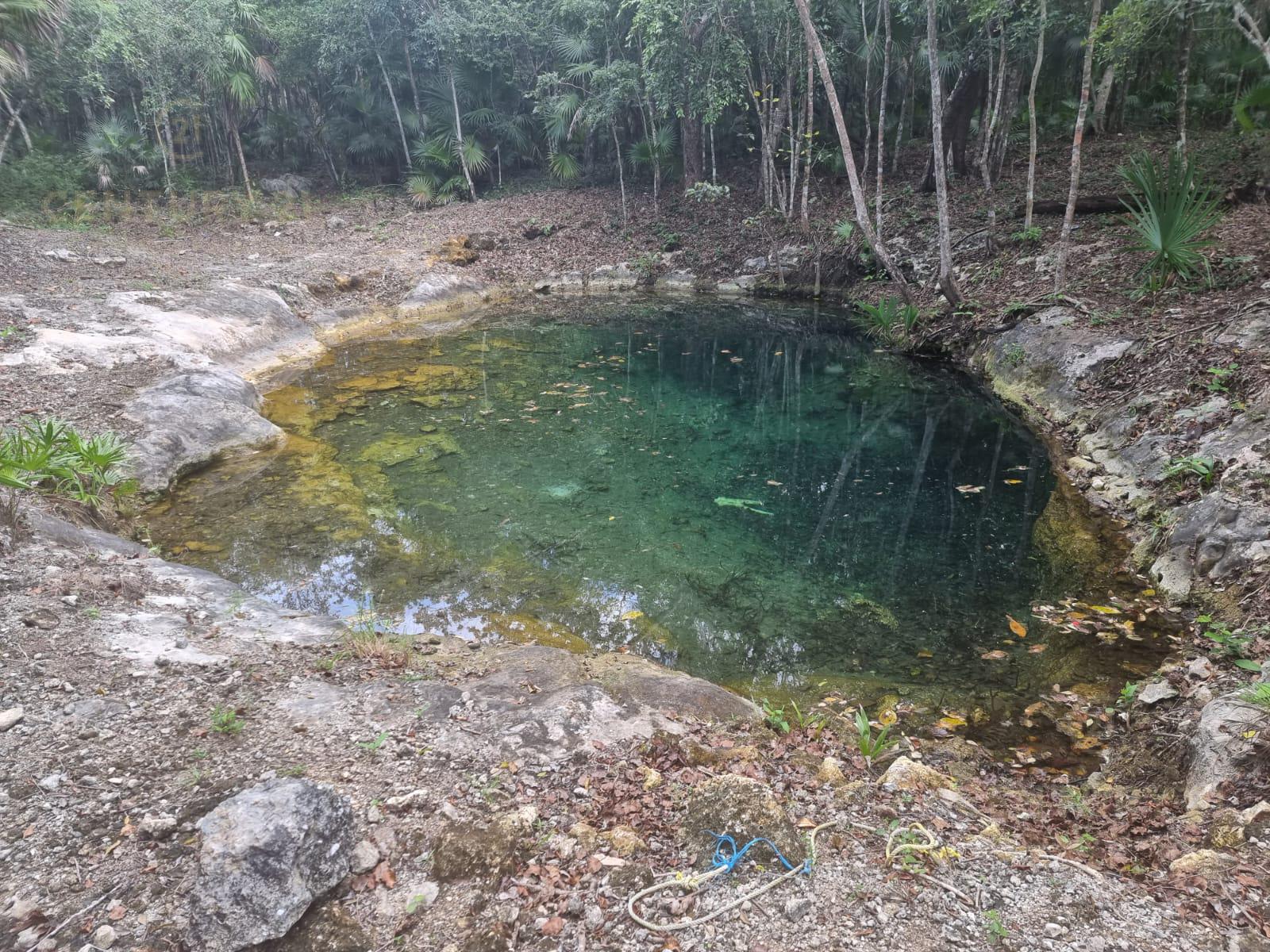 Terreno grande con Cenote en Venta para Desarrollar en Tulum Región 10 P4044