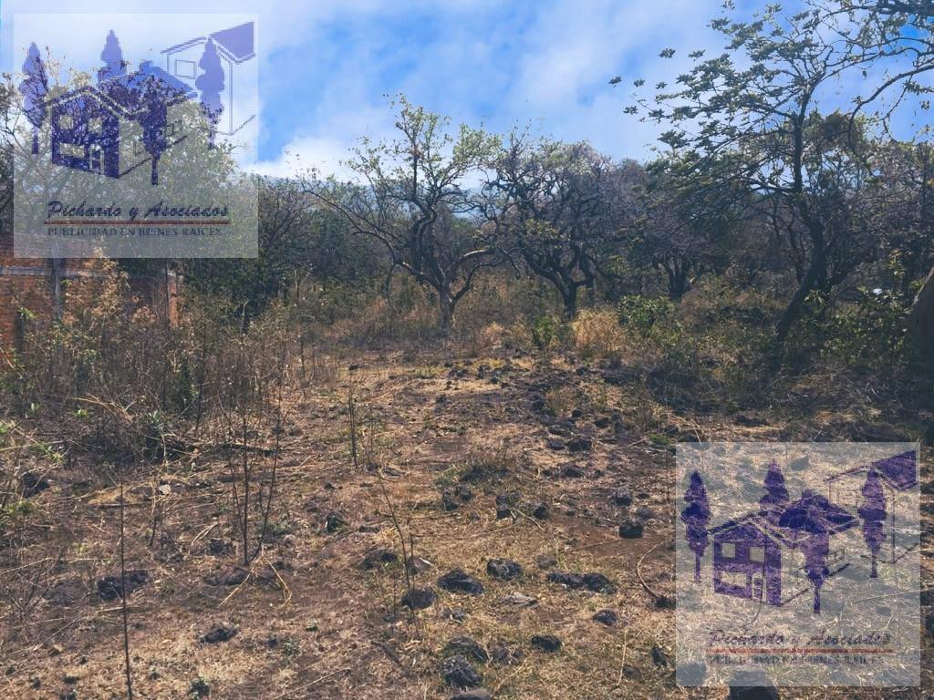 Terreno en venta en Tepoztlán Morelos