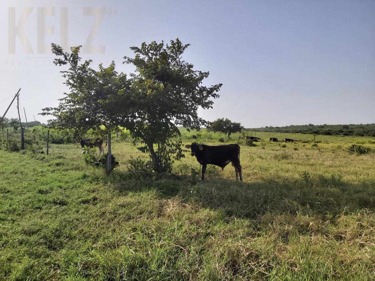 Terreno - Tampico Alto Centro