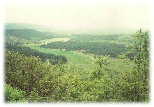 VENTA DE RANCHO EN SAN JUANITO